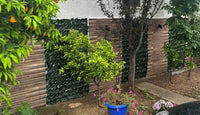 LM 01     100x50x2cm