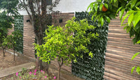 LM 01     100x50x2cm