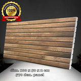 LM 01     100x50x2cm