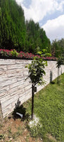 RMA-20 100x50x2 cm